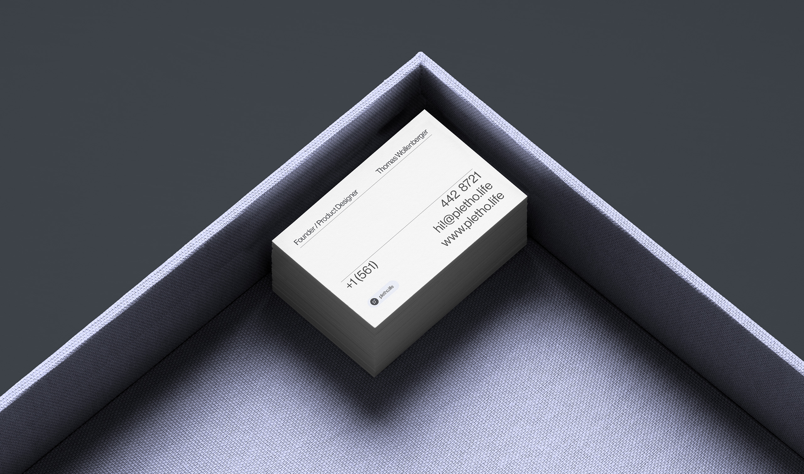 Pletho brand identity — UI design system digital product health technology 2023